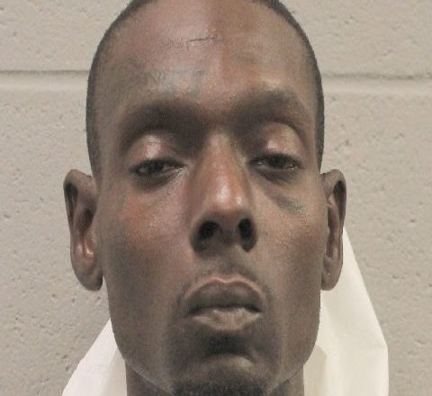 Arrested: Bolanle Fadairo, has now been charged with two counts of murder and tampering with evidence