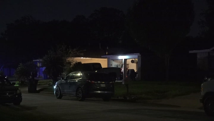 Sister shoots brother after fight erupts among family members