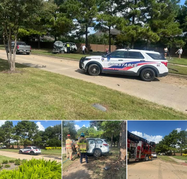 Driver rescued after crashing into light pole, tree and rolling over in ...