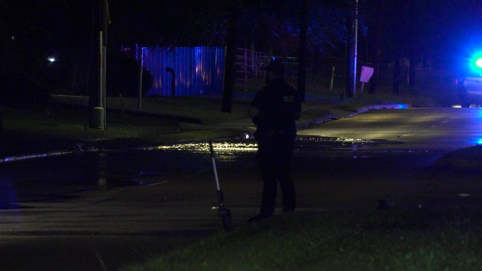 Dark night scene on a street with a silhouetted officer and blue emergency lights reflecting off wet pavement.