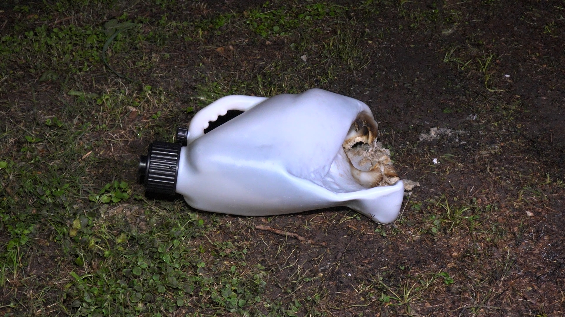 Large white plastic jug with a black screw-on cap lying on damp ground with grass nearby.