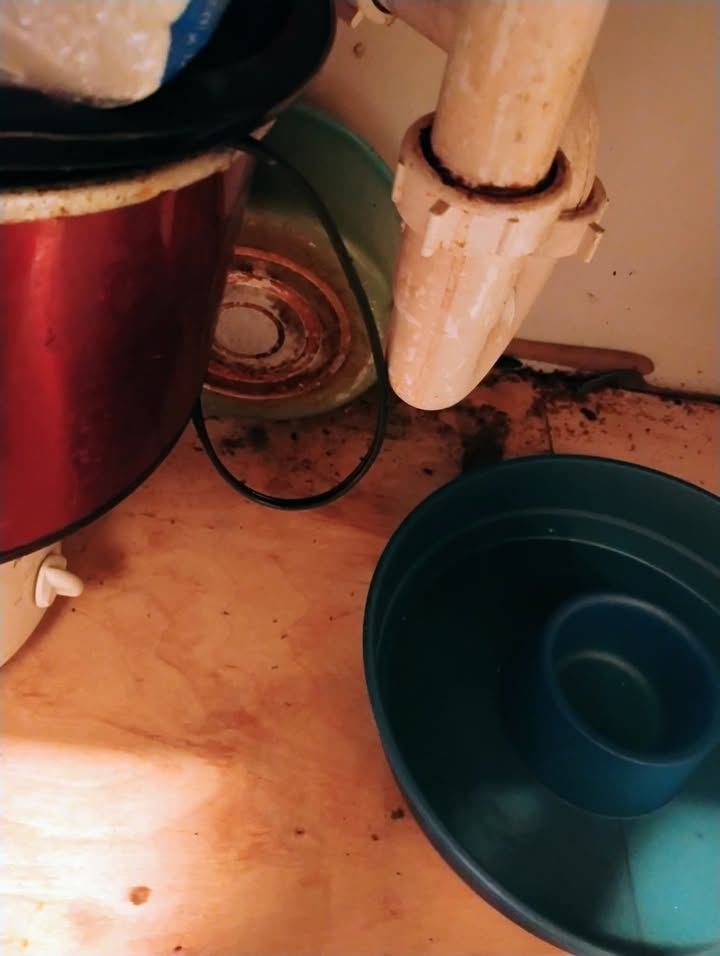 Under-sink view with exposed plumbing, a beige drain pipe and red garbage disposal, and a teal bucket on the floor to catch water.